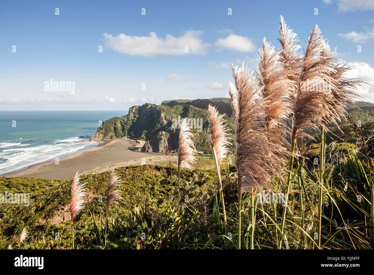NZ Auckland promenades dans Waitakere ranges et les collines plus de karekare beach près de Piha beach. Un paysage magnifique pour les voyages touristiques en Nouvelle-Zélande. Banque D'Images