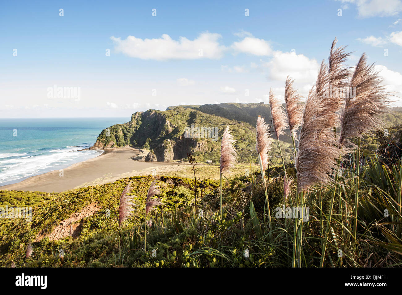 NZ Auckland à pied à Waitakere ranges hills plus de karekare beach près de piha plages. Banque D'Images