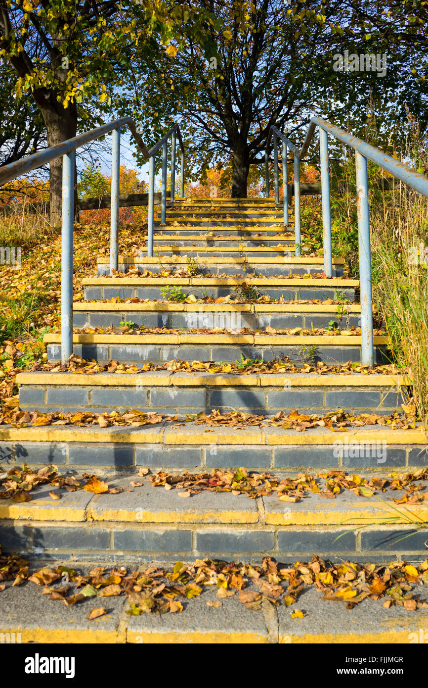 Escaliers en béton recouvert de feuilles d'automne Banque D'Images