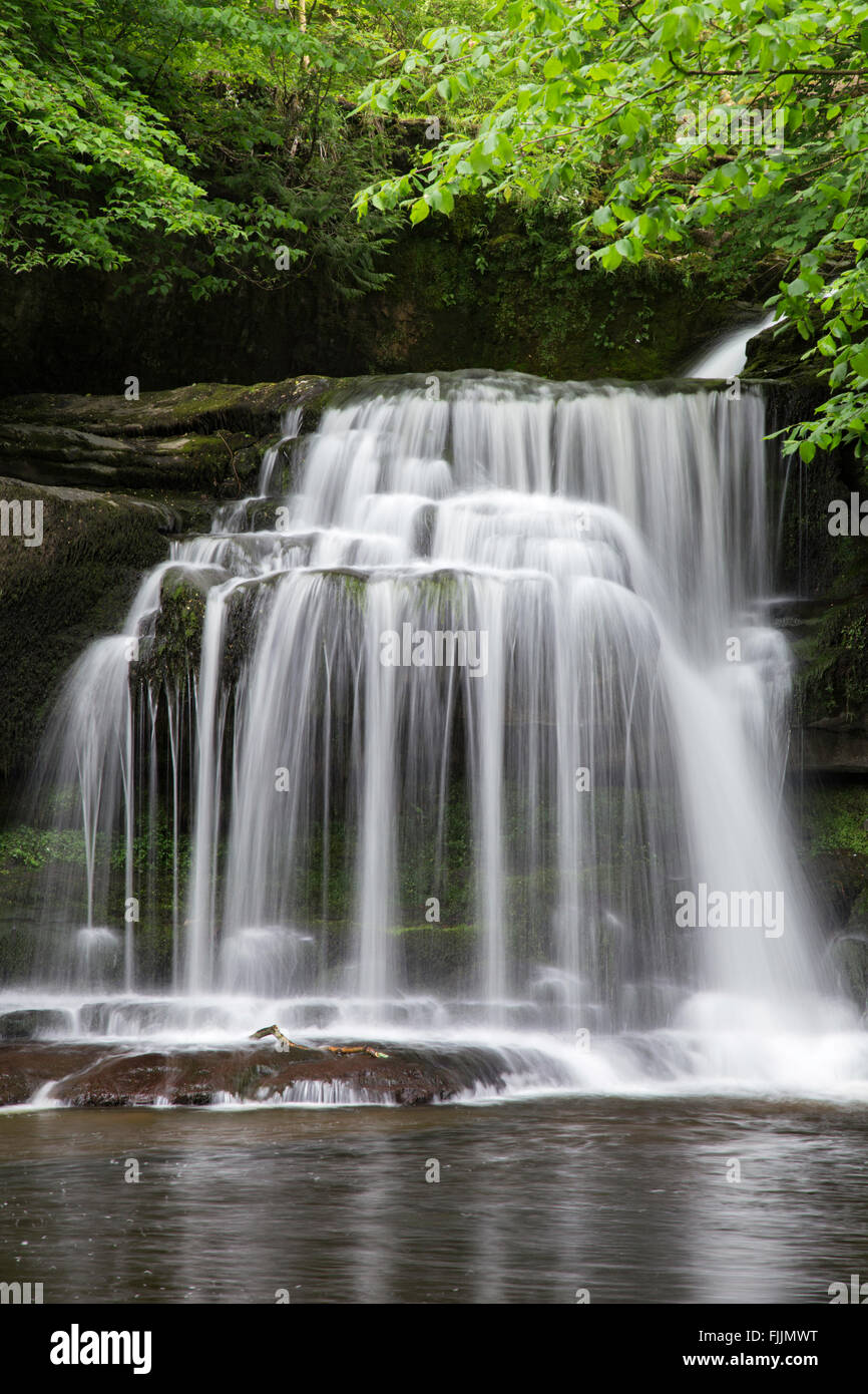 Au printemps, la cascade de West Burton Yorkshire Dales National Park, North Yorkshire, England, UK Banque D'Images
