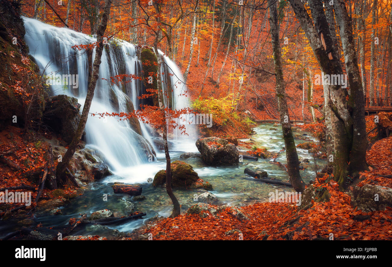Belle cascade en rivière de montagne dans la forêt d'automne avec les feuilles rouges et orange au coucher du soleil. Nature Paysage Banque D'Images