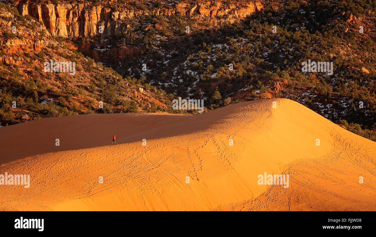 Randonneur solitaire marche sur les dunes de dernière lumière à Coral Pink Sand Dunes State Park, près de Kanab, Utah Banque D'Images