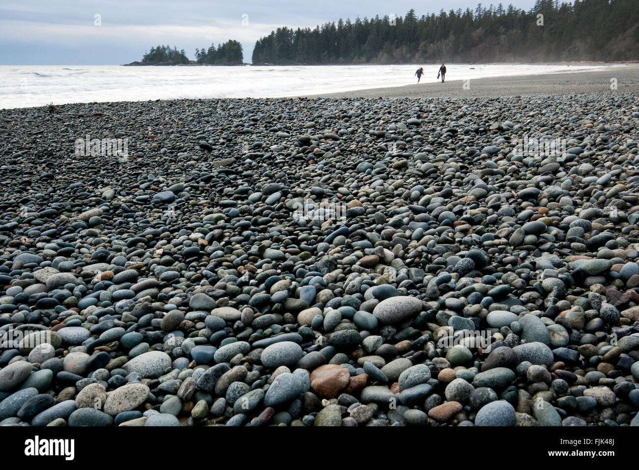 La Baie Florencia (Wreck Beach) - le parc national Pacific Rim - près de Tofino, Vancouver Island, British Columbia, Canada Banque D'Images