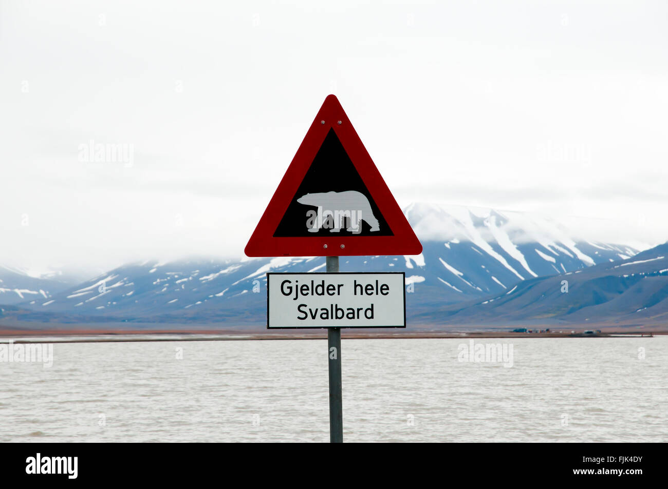 Ours polaire - Avertissement - Longyearbyen Svalbard Banque D'Images
