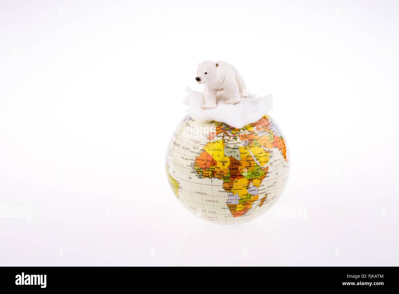 Ours polaire sur globe on a white background Banque D'Images