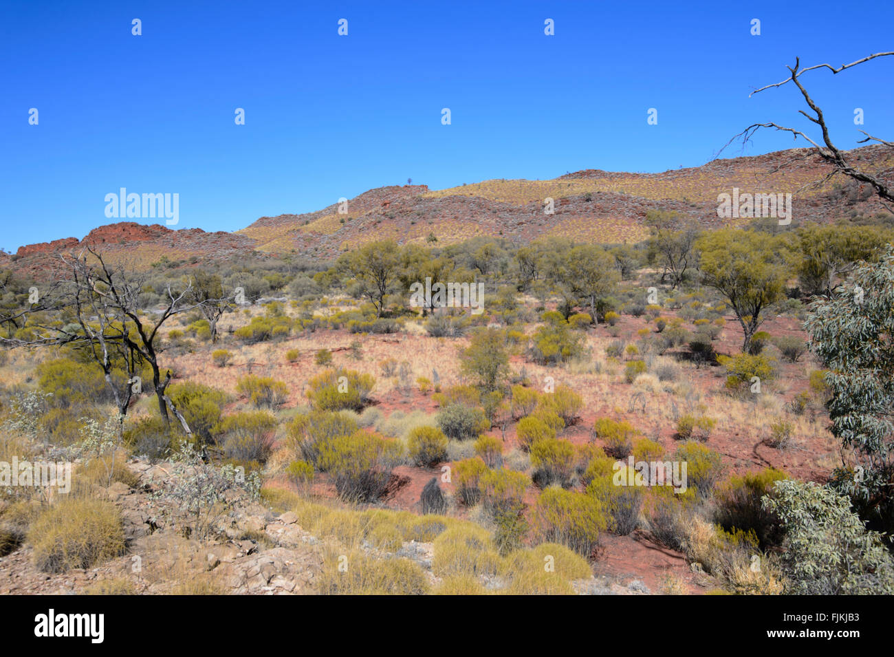 Namatjira Drive, West Macdonnell Ranges, Territoire Du Nord, Territoire Du Nord, Australie Banque D'Images