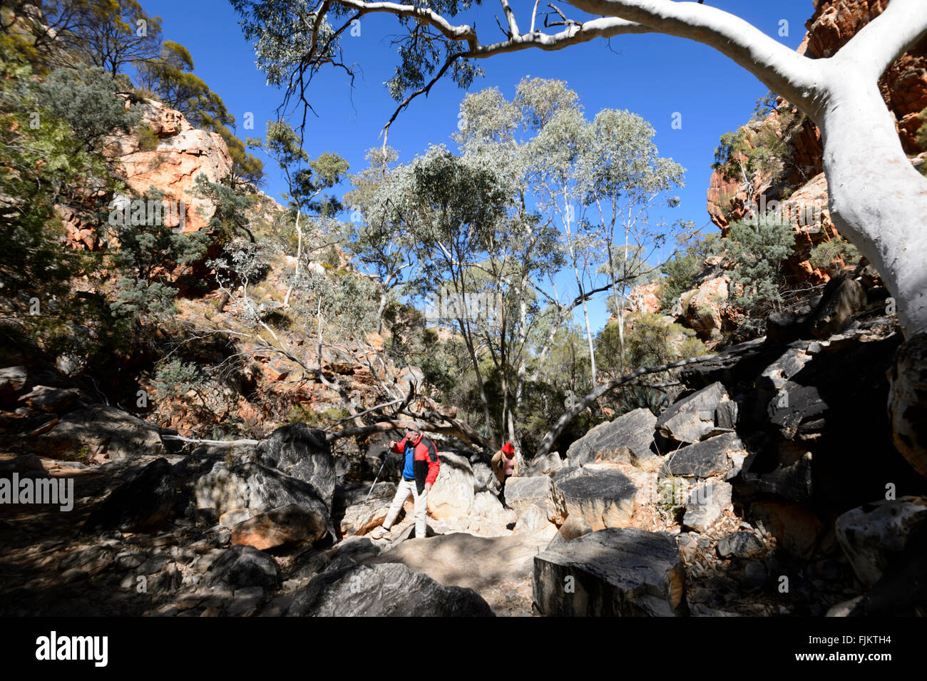 Standley Chasm, West MacDonnell Ranges, Territoire du Nord, NT, Australie Banque D'Images