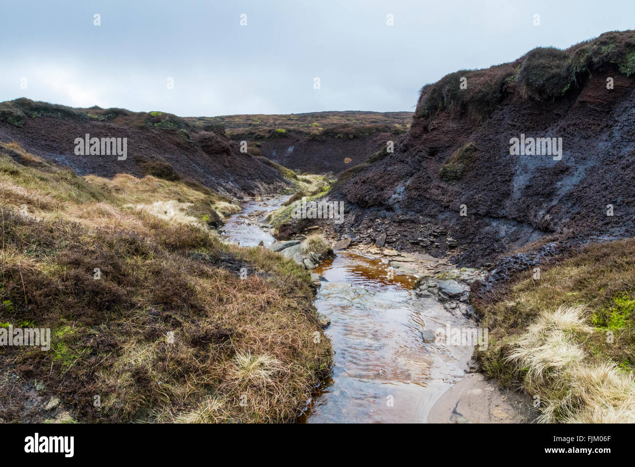 Un ruisseau qui coule à travers la lande causant l'érosion de la tourbe, et la création d'un ravin et hags. Kinder Scout, Derbyshire Peak District, England, UK Banque D'Images