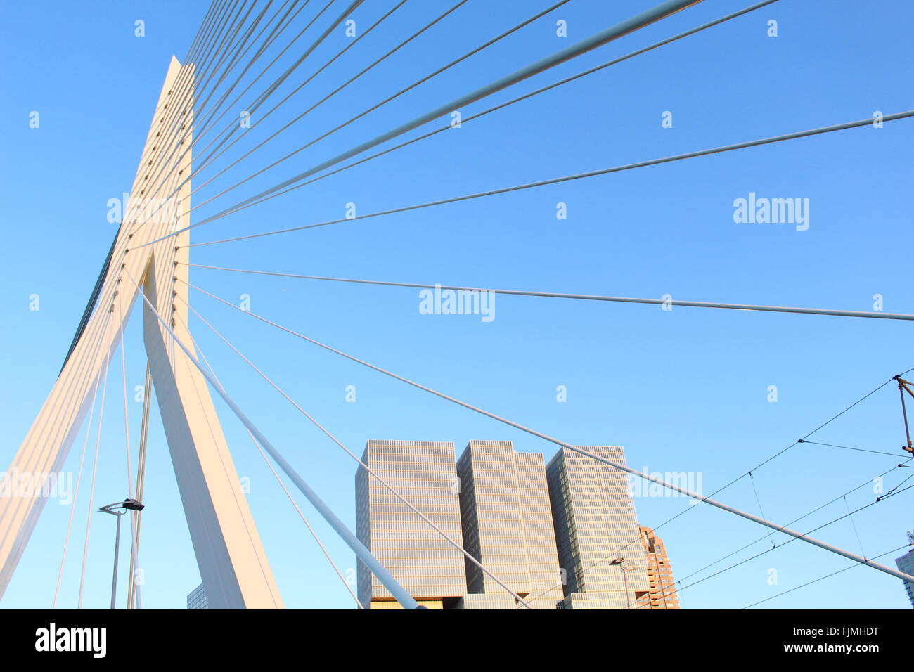 Pont de Swan Banque D'Images