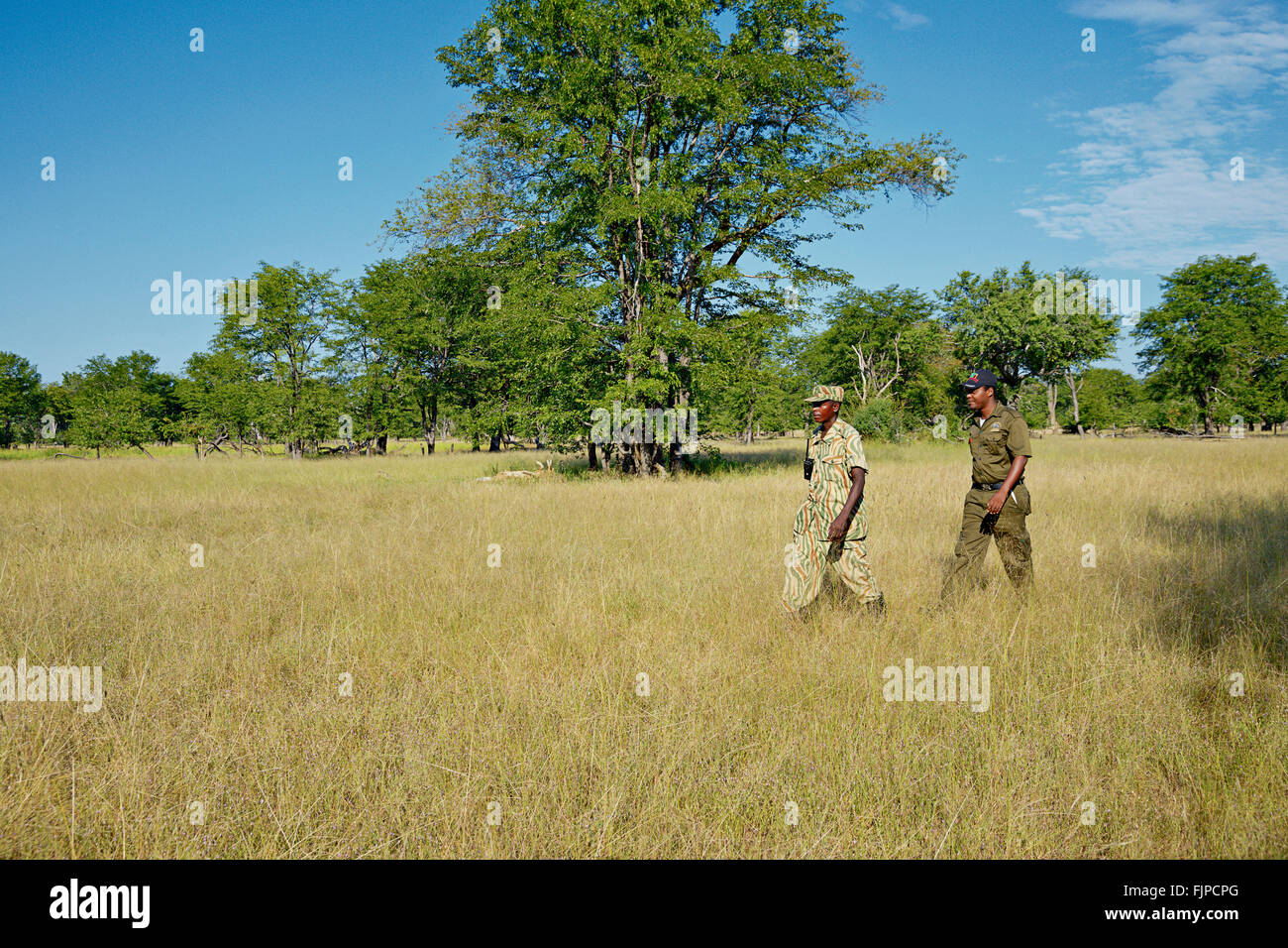 Safari à pied dans le Parc National Mosi-Oa-Tunya, près de Victoria Falls, la Zambie. Banque D'Images