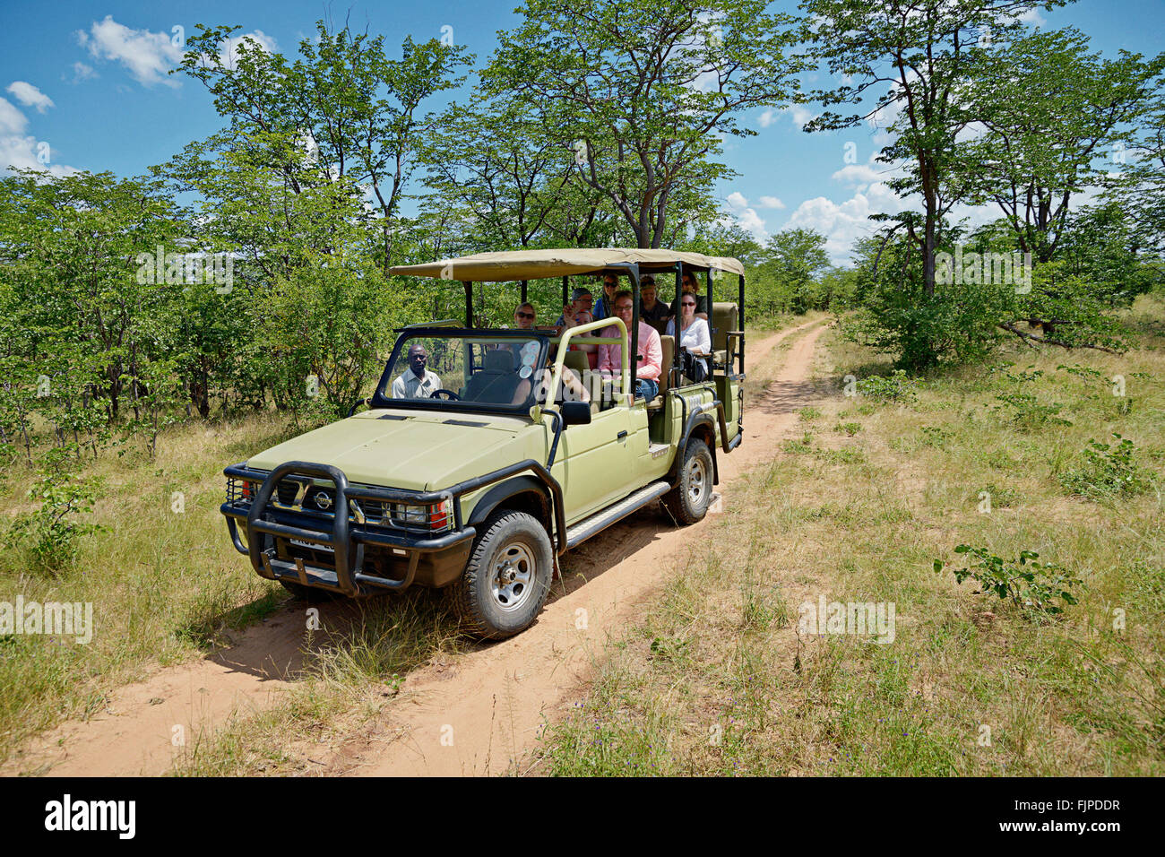 Jeep safari dans Mosi-Oa-Tunya National Park, près de Victoria Falls, la Zambie. Banque D'Images