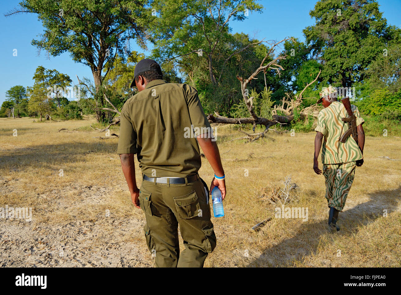 Safari à pied dans le Parc National Mosi-Oa-Tunya, près de Victoria Falls, la Zambie. Banque D'Images