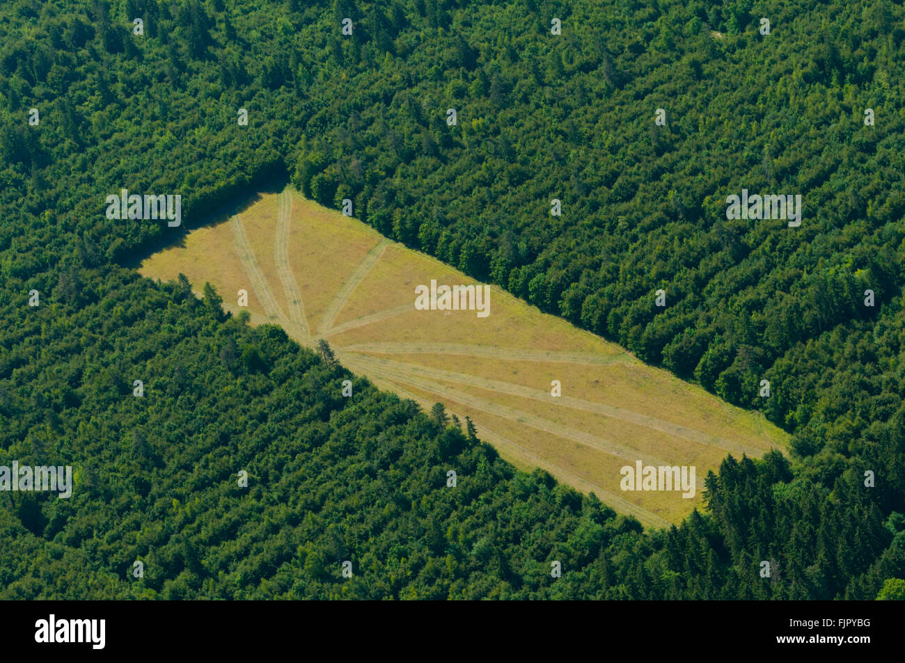 Meuse (55), Verdun, champs de batailles de la 1ere Guerre mondiale, clairière dans le Bois Fleury (vue aerienne) // France, Me Banque D'Images
