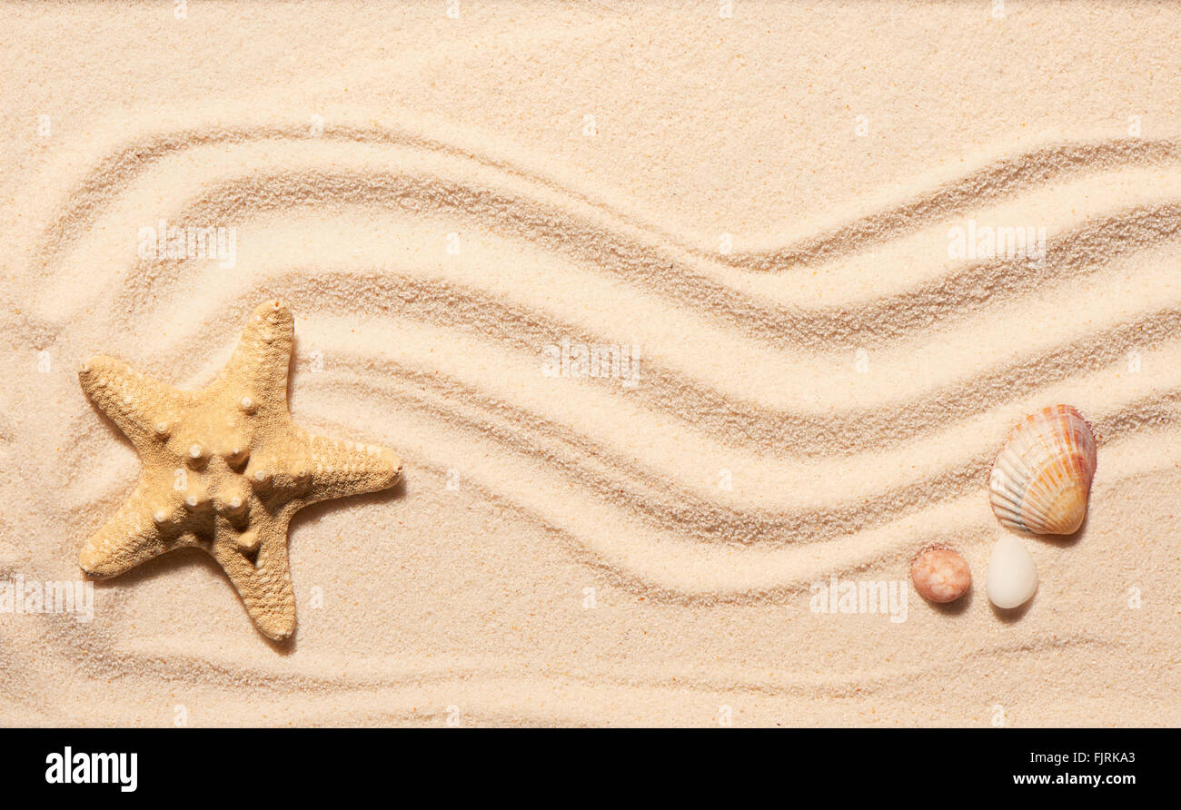 Pétoncles de mer, coquillage et deux pierres sur le sable de la plage. Fond de plage d'été. Vue de dessus Banque D'Images