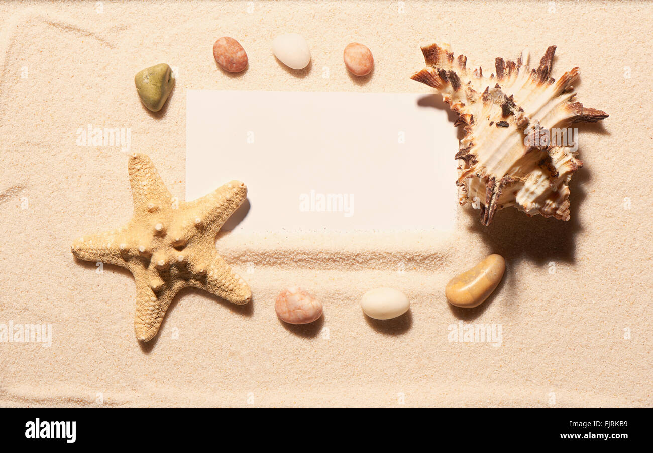 Carte de visite blanche dans l'image d'étoiles de mer, des pierres et des coquillages sur le sable. Fond de plage d'été. Vue de dessus Banque D'Images
