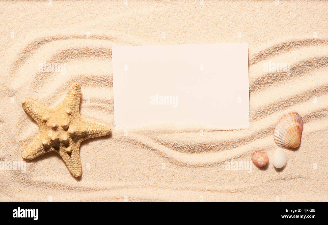 Pétoncles de mer, coquillage et deux pierres blanches avec carte de visite sur le sable de la plage. Fond de plage d'été. Vue de dessus Banque D'Images