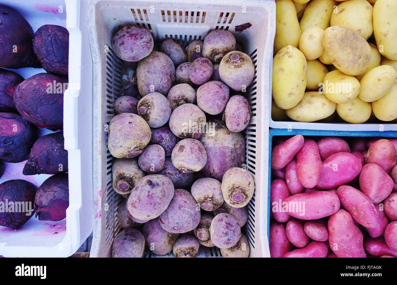 Pourpre coloré de légumes racines à un marché de producteurs Banque D'Images