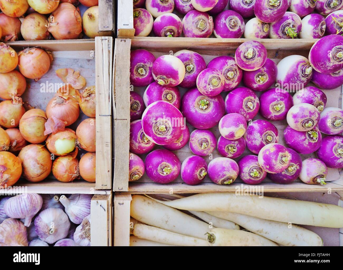 Pourpre coloré de légumes racines à un marché de producteurs Banque D'Images