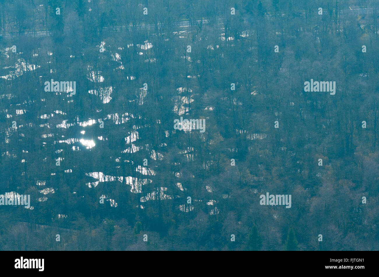 Meuse (55), Verdun, champs de batailles de la 1ere Guerre mondiale, anciens crateres d'obus dans le bois triangulaire (vue aeri Banque D'Images