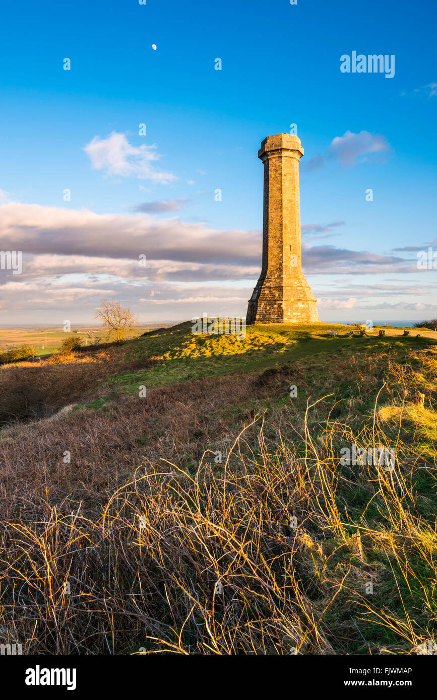 Hardy's Monument sur noir vers le bas près de Portesham de Dorset, UK Banque D'Images