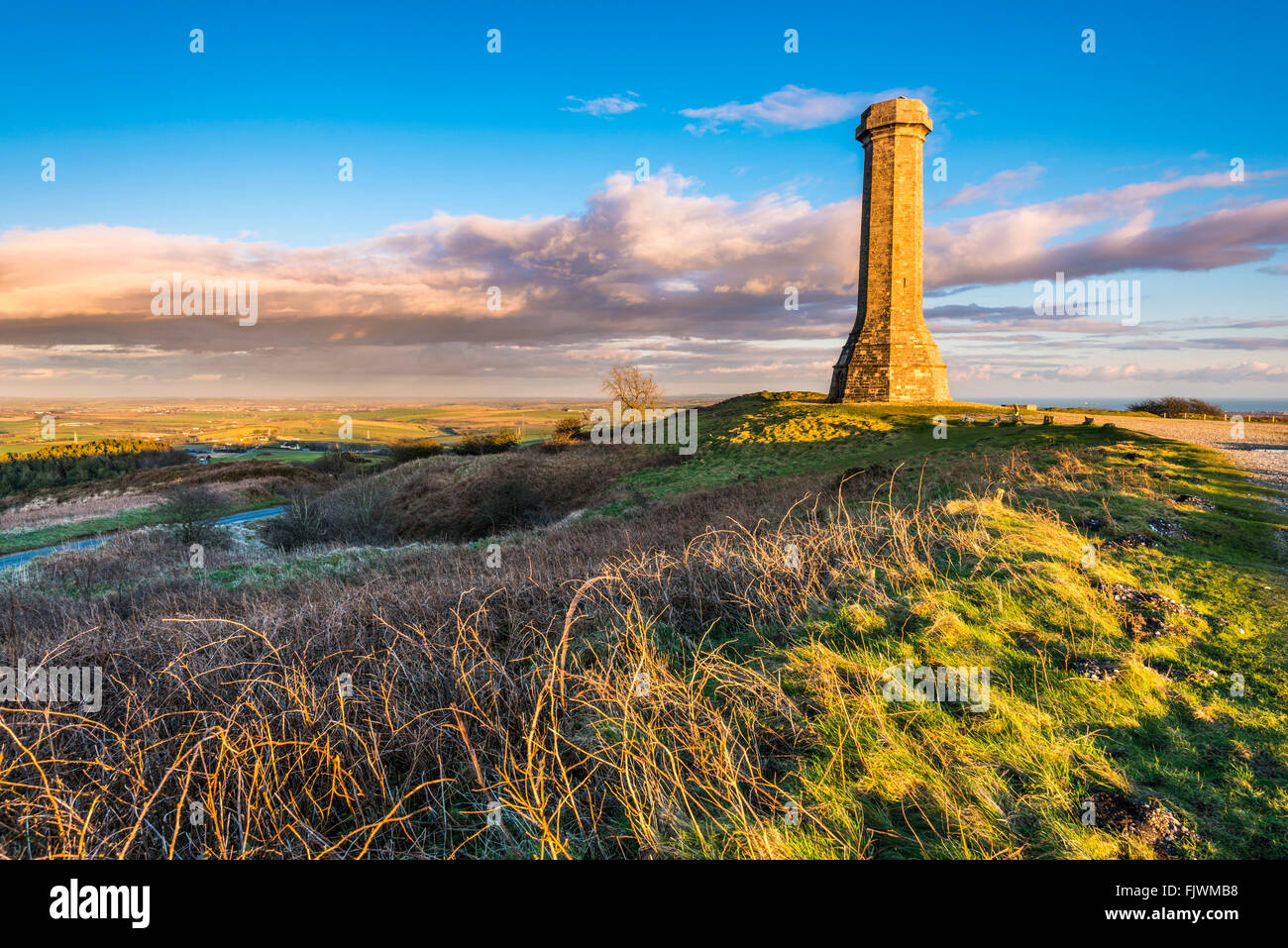 Hardy's Monument sur noir vers le bas près de Portesham de Dorset, UK Banque D'Images