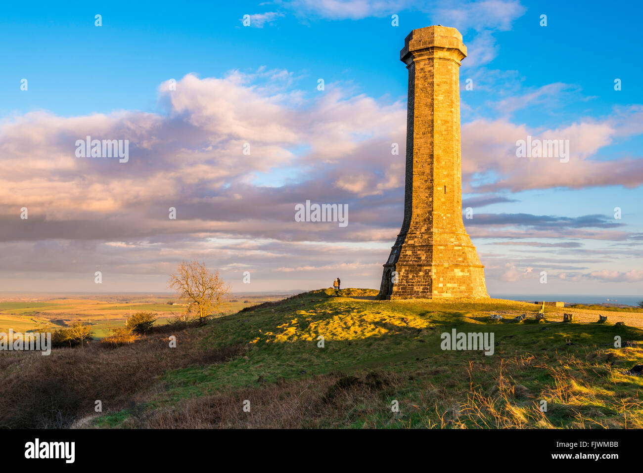 Hardy's Monument sur noir vers le bas près de Portesham de Dorset, UK Banque D'Images