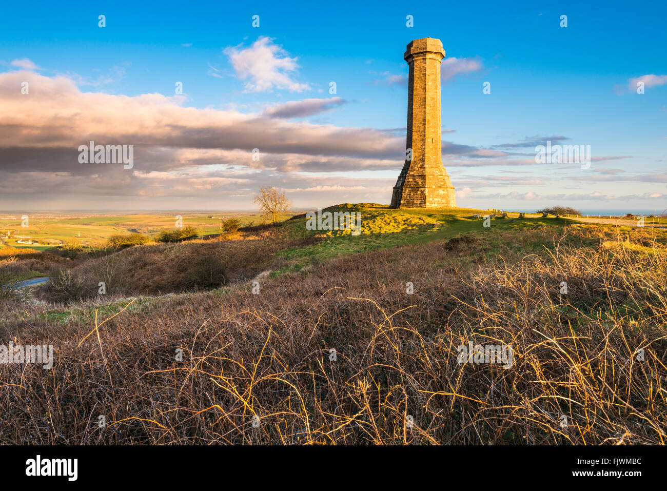 Hardy's Monument sur noir vers le bas près de Portesham de Dorset, UK Banque D'Images