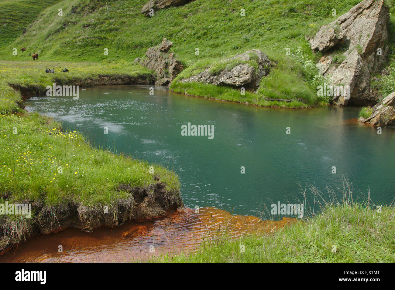 Lac gazéifiée, source avec de l'eau minérale gazeuse, Truso Valley National Park, Kazbegi, Géorgie Banque D'Images