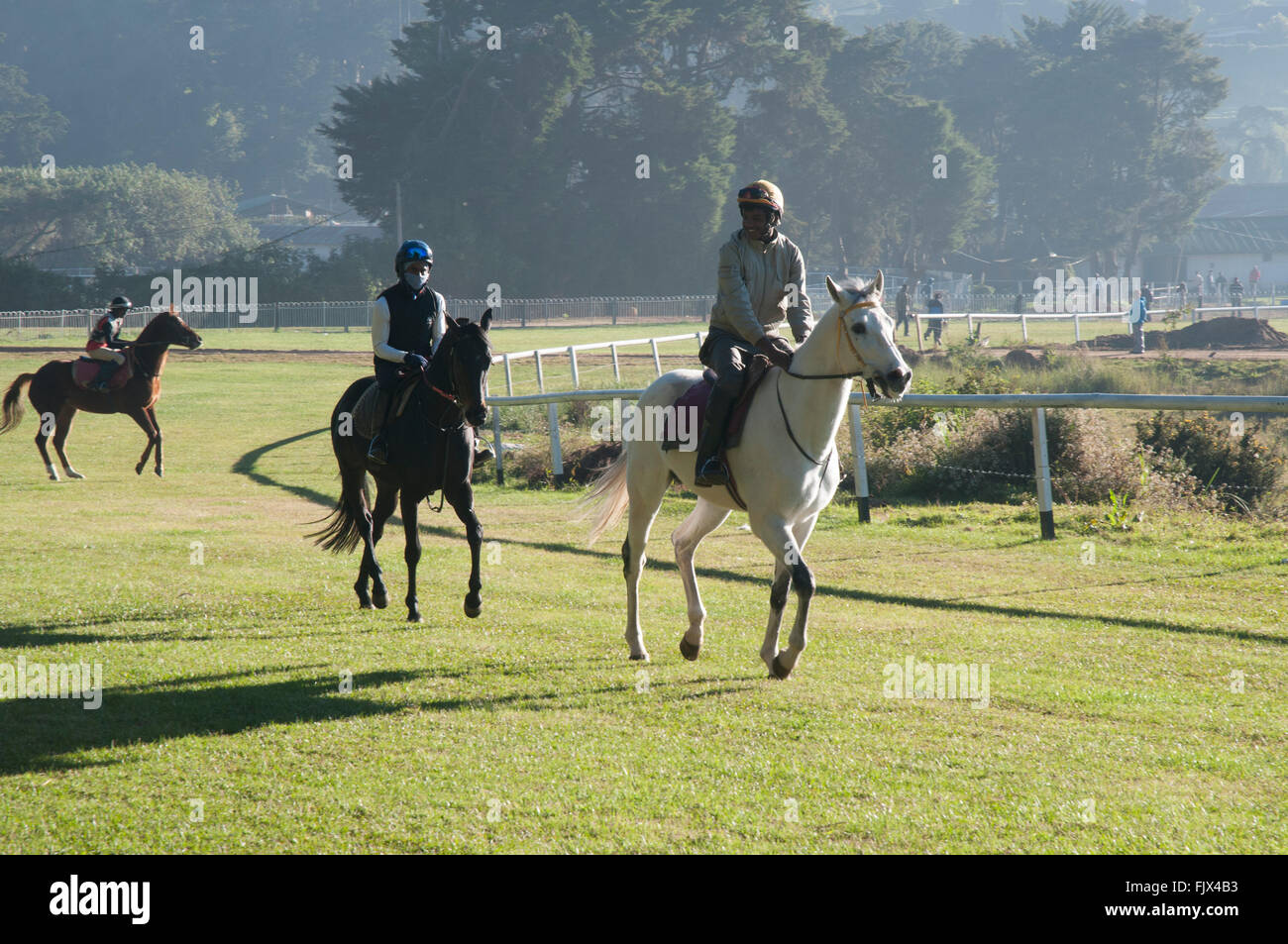 Sur l'entraînement des chevaux de courses seulement du Sri Lanka à Nuwara Eliya Banque D'Images