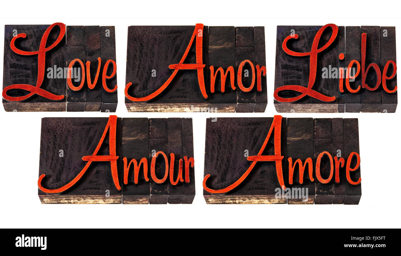 Amour mot en 5 langues (anglais, espagnol, allemand, français et italien) - un collage de texte isolés dans la typographie vintage bois Banque D'Images