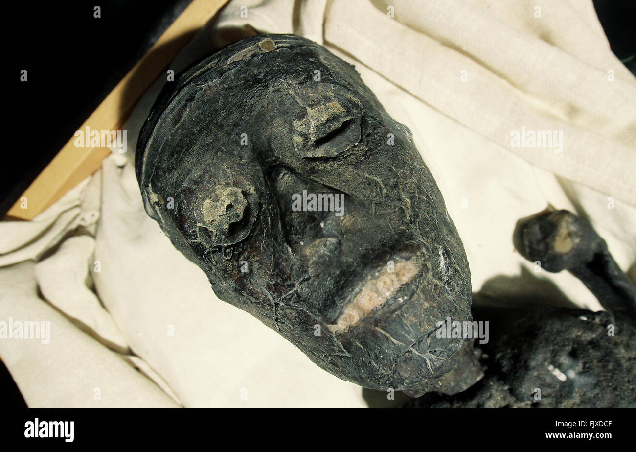 Davenport, Iowa, États-Unis. 3e Mar, 2016. Corps momifiés de Toutankhamon à la découverte du roi Tut à la Putnam Museum & Science Center à Davenport, Iowa. © Kevin E. Schmidt/Quad-City Times/ZUMA/Alamy Fil Live News Banque D'Images