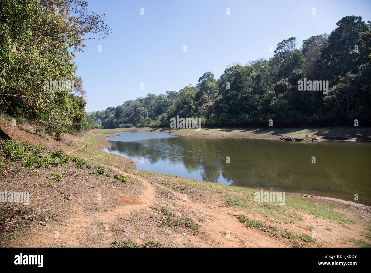 Le Lac à KTCD Wildlife Resort Aranya Nivas Thekkady Kerala Inde Banque D'Images