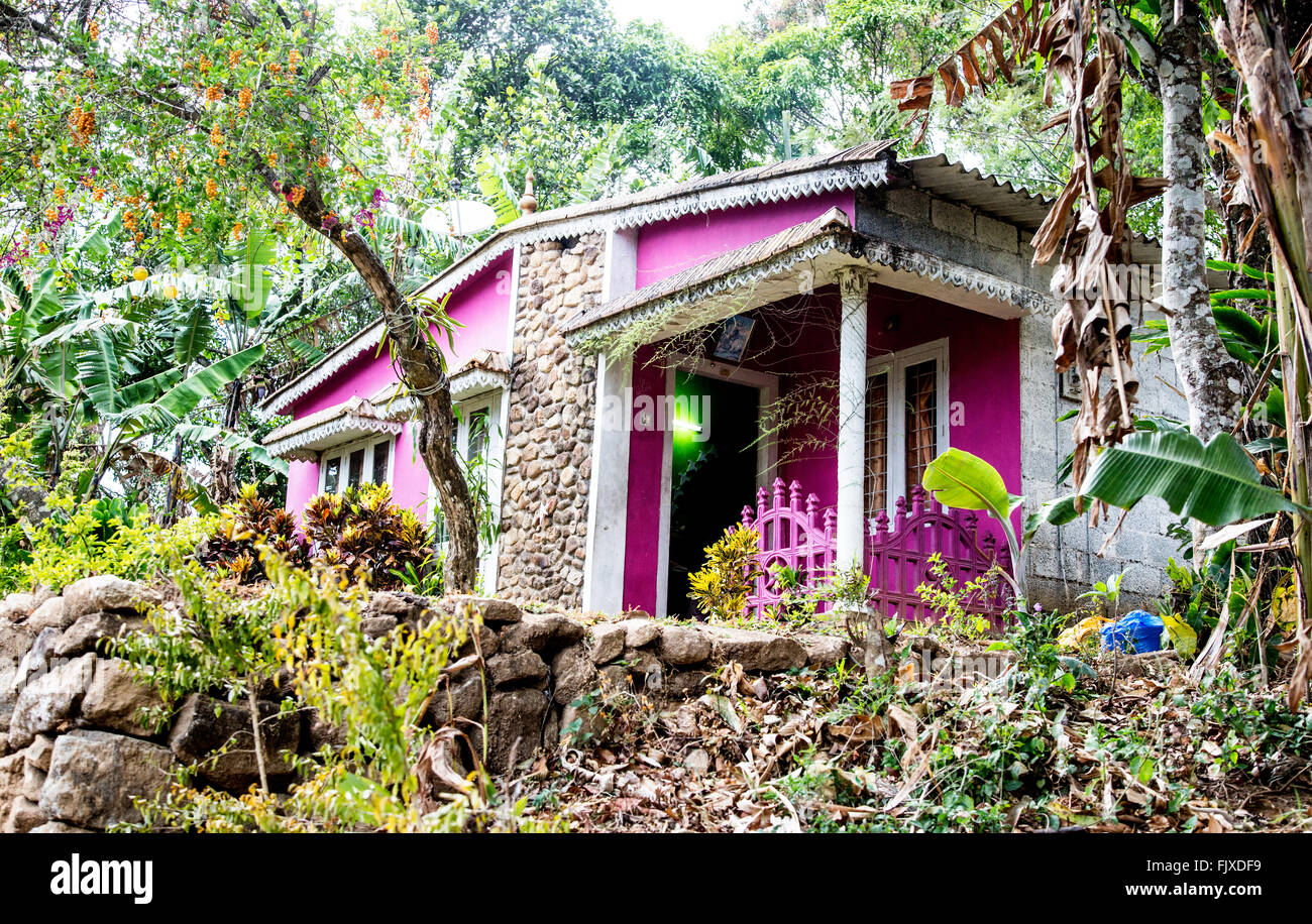 Maison locale dans les collines de Munnar Kerala Inde Banque D'Images