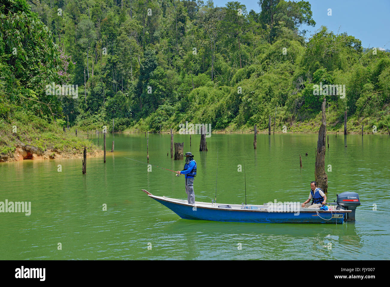 Pour la pêche au poisson-serpent, lac Temenggor Belum, la Malaisie. Banque D'Images