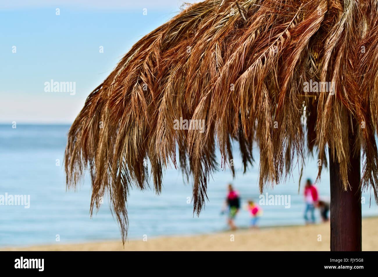La feuille de palmier parasol sur la plage de la mer Baltique. Stegna,  Poméranie, Pologne Photo Stock - Alamy