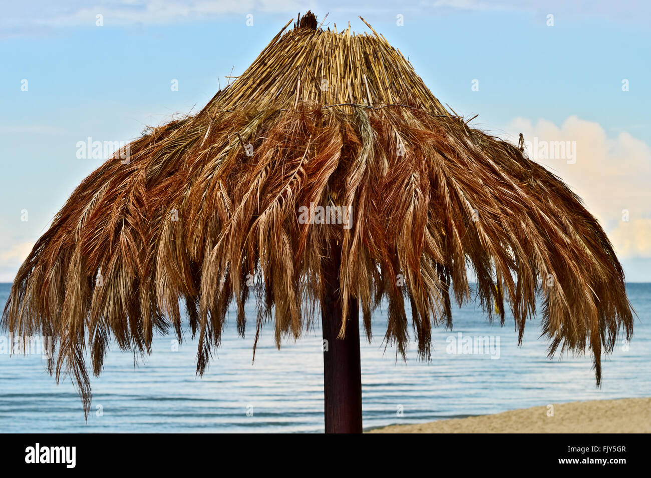 La feuille de palmier parasol sur la plage de la mer Baltique. Stegna,  Poméranie, Pologne Photo Stock - Alamy