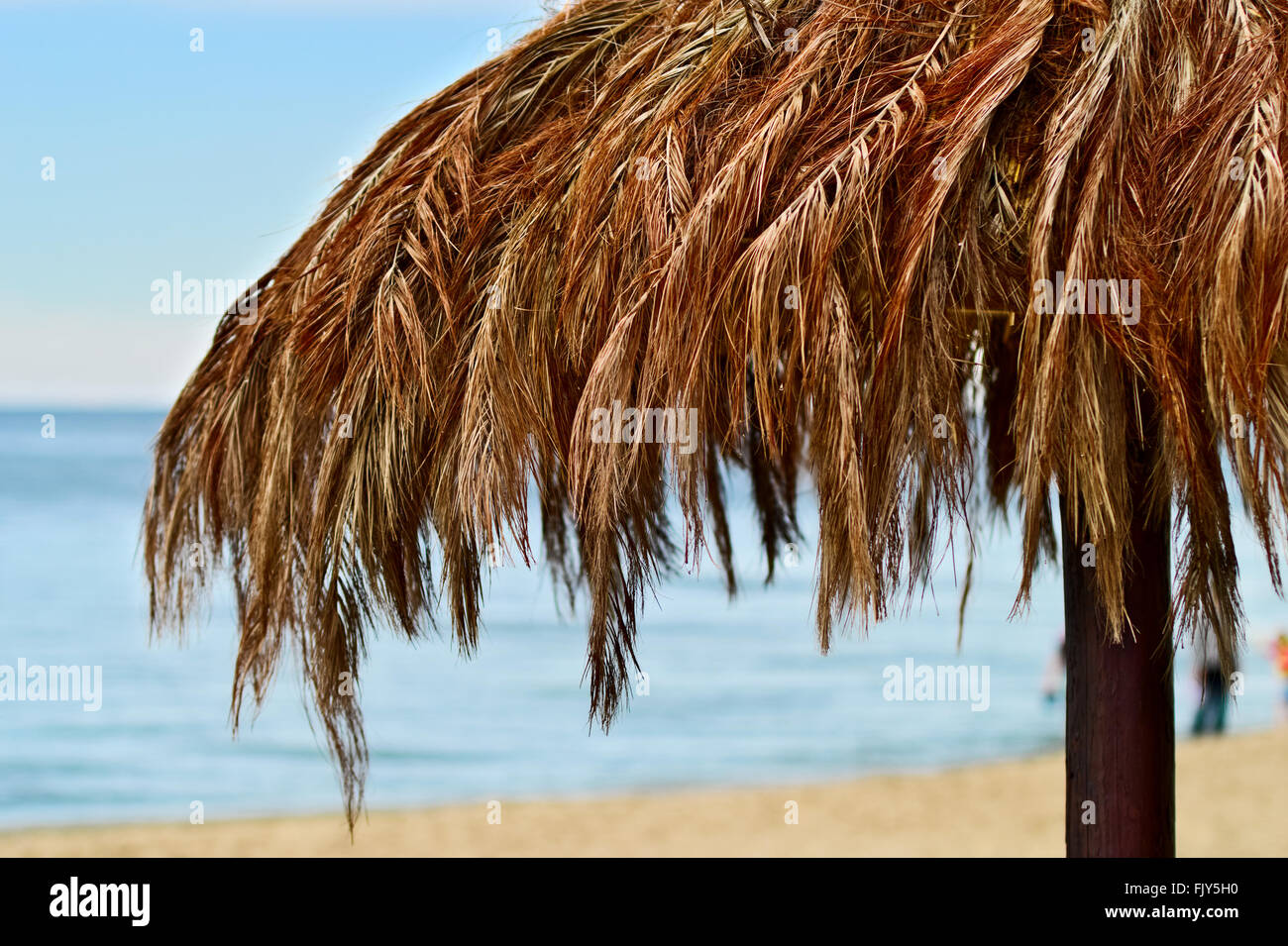 La Feuille De Palmier Parasol Sur La Plage De La Mer