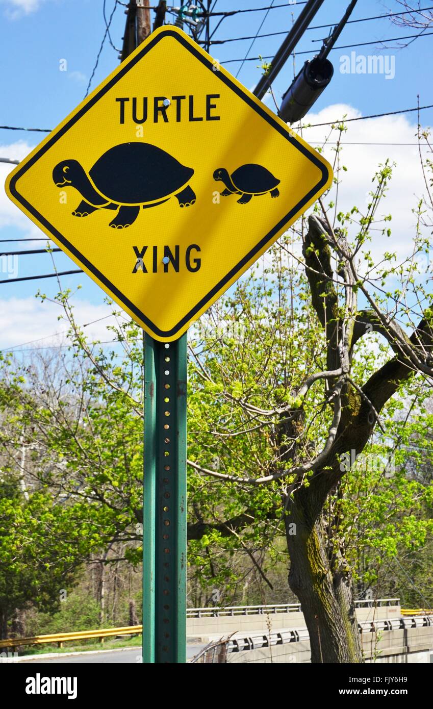 Turtle crossing sign Banque D'Images