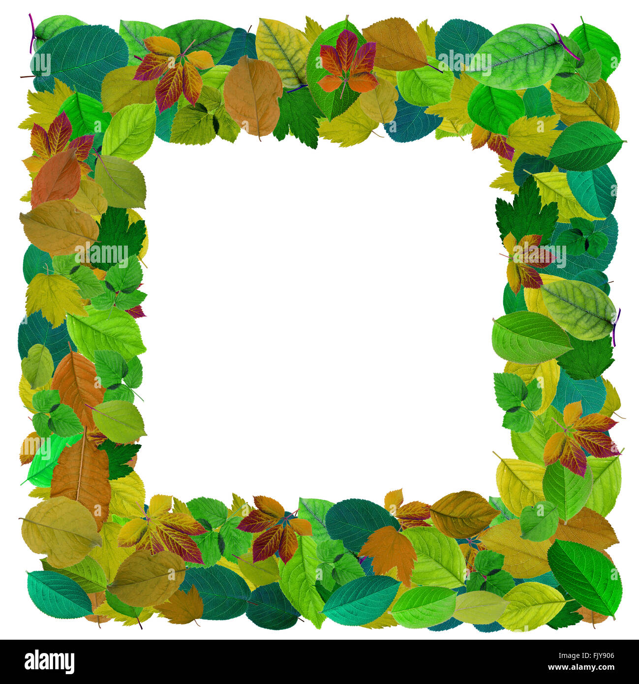 Résumé cadre photo en mosaïque de feuilles colorées. Photo Collage fait main isolé Banque D'Images