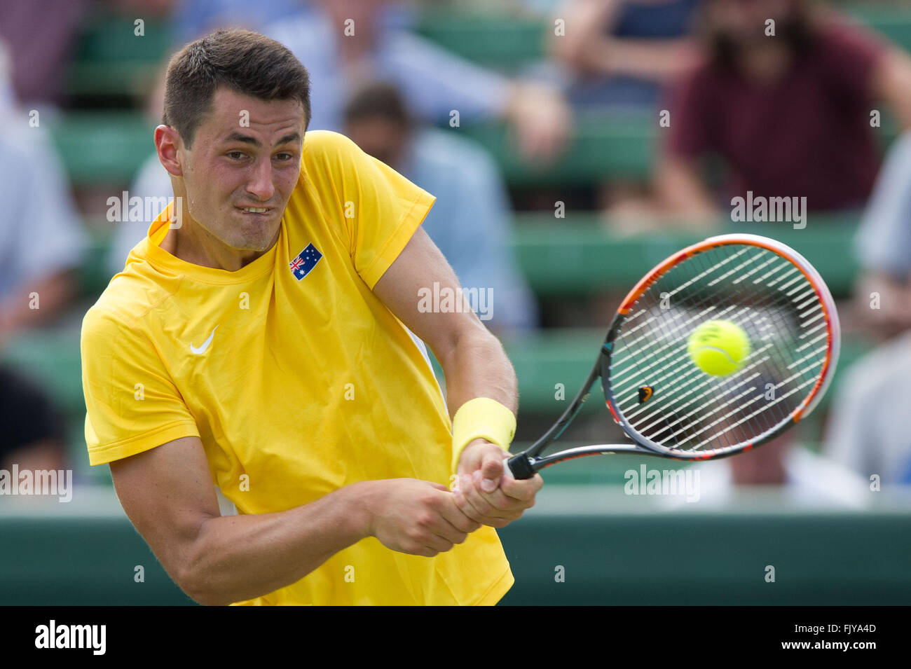 Melbourne, Australie. 4e Mar, 2016. Bernard Tomic d'Australie retourne la balle durant son match contre simple hommes Jack Sock des États-Unis au cours de Coupe Davis par BNP Paribas Groupe mondial de premier tour entre l'Australie et USA à Kooyong Lawn Tennis Club à Melbourne, Australie, 4 mars 2016. Bernard Tomic a gagné 3-1. © Bai Xue/Xinhua/Alamy Live News Banque D'Images