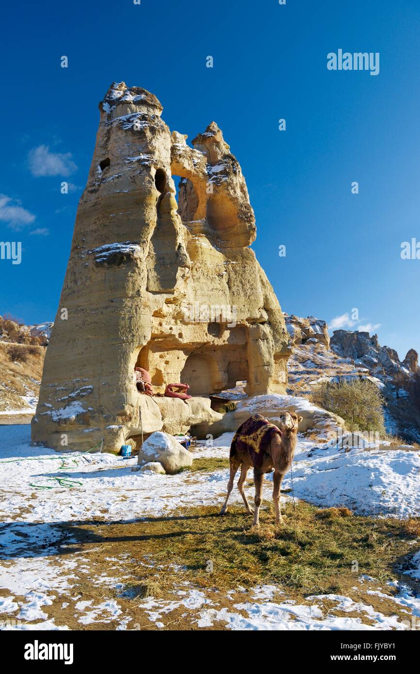 Tuf volcanique érodée troglodyte troglodyte des premiers chrétiens chambres de Goreme Open Air Museum National Park, Cappadoce, Turquie Banque D'Images