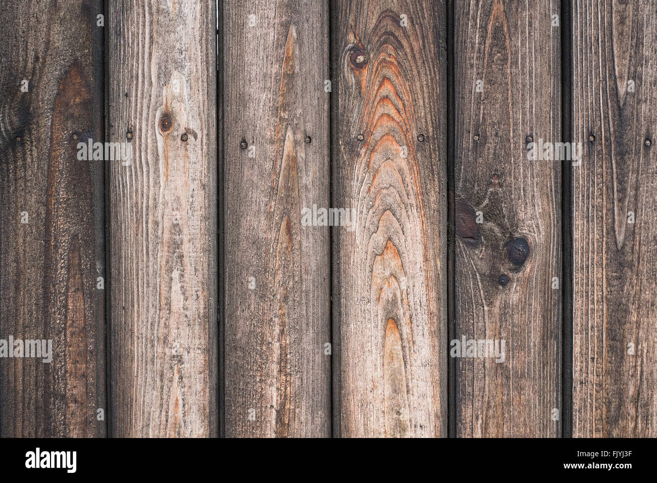 Vintage wood background. En bois de chêne vieilli grunge textured pin ou bandes. Brown clôture rustique. Banque D'Images