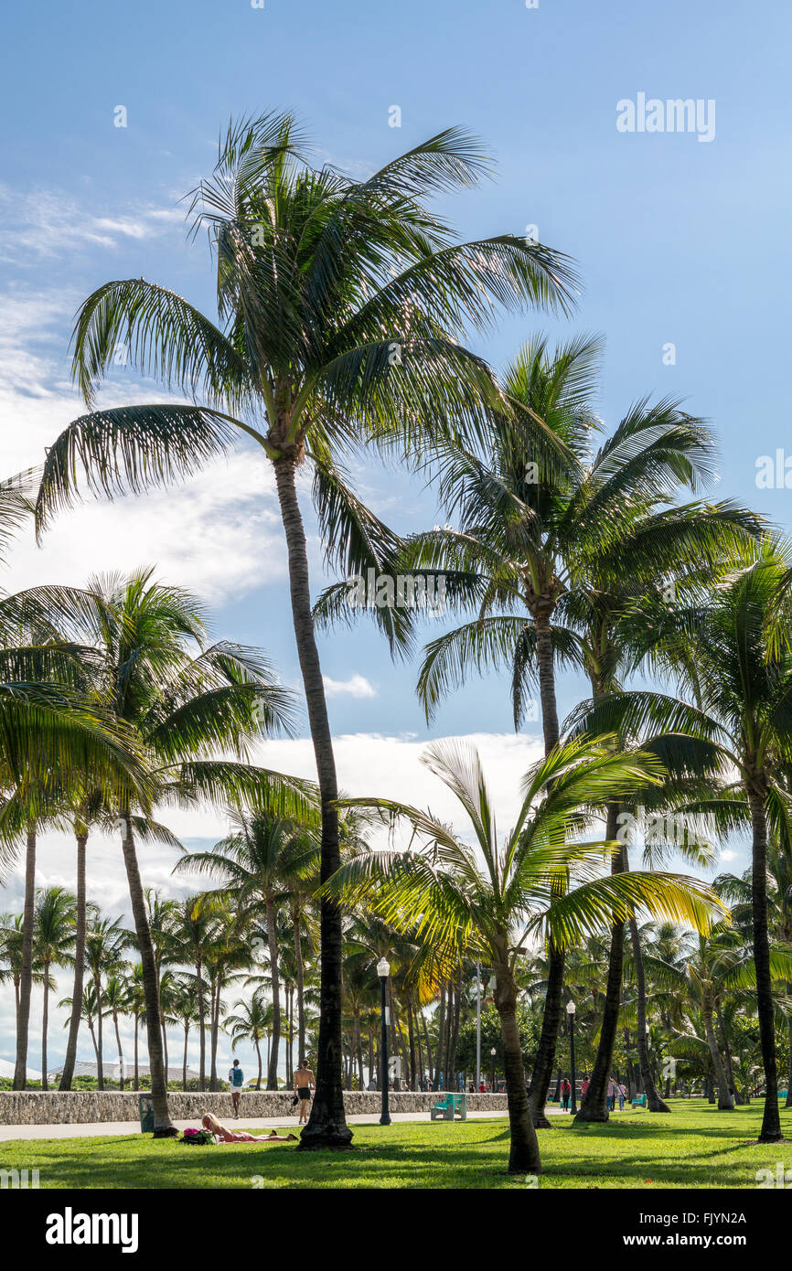 Personnes et de palmiers sur la promenade South Beach à Miami Beach, Floride, USA Banque D'Images
