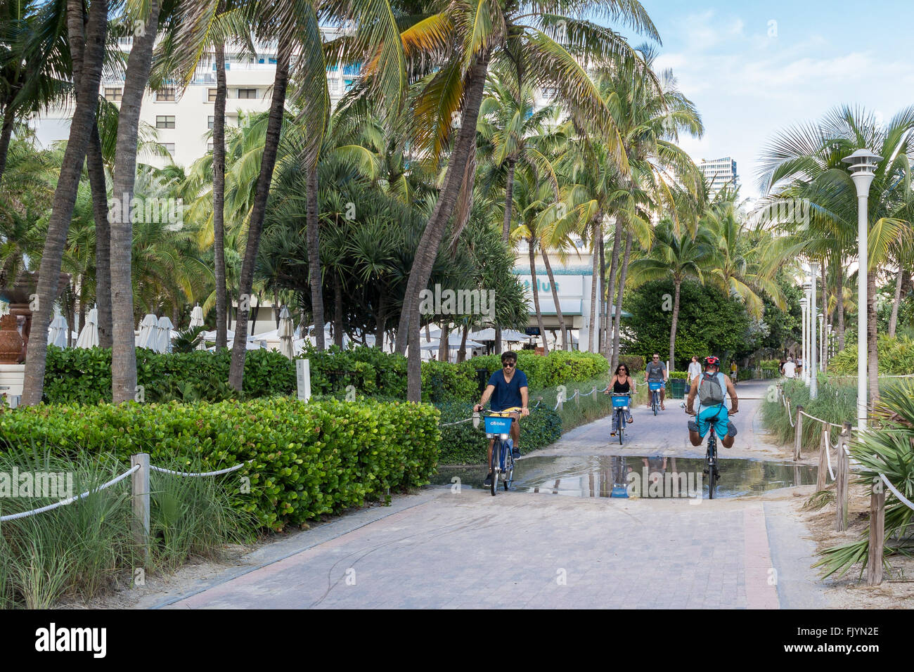 Les gens sur des vélos sur la promenade South Beach à Miami Beach, Floride, USA Banque D'Images