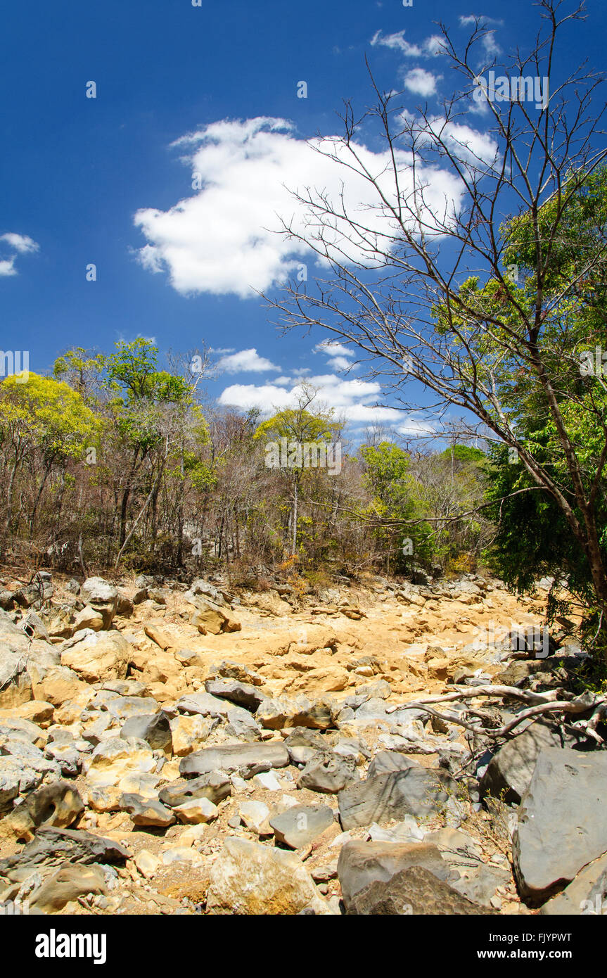 Lit de rivière à sec dans le Parc National d'Ankarana à Madagascar Banque D'Images