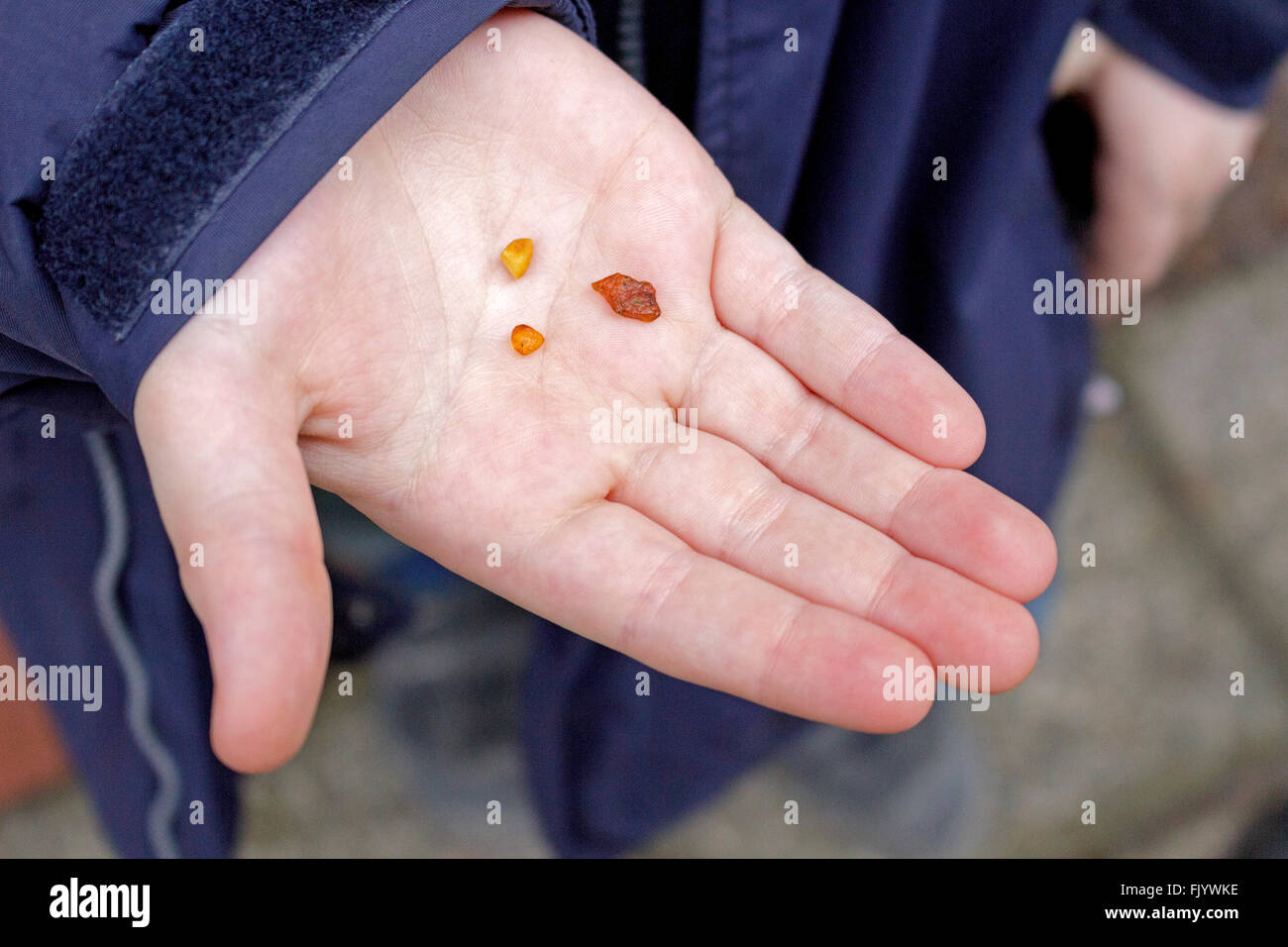 Young boy holding pièces d'ambre dans sa main Banque D'Images