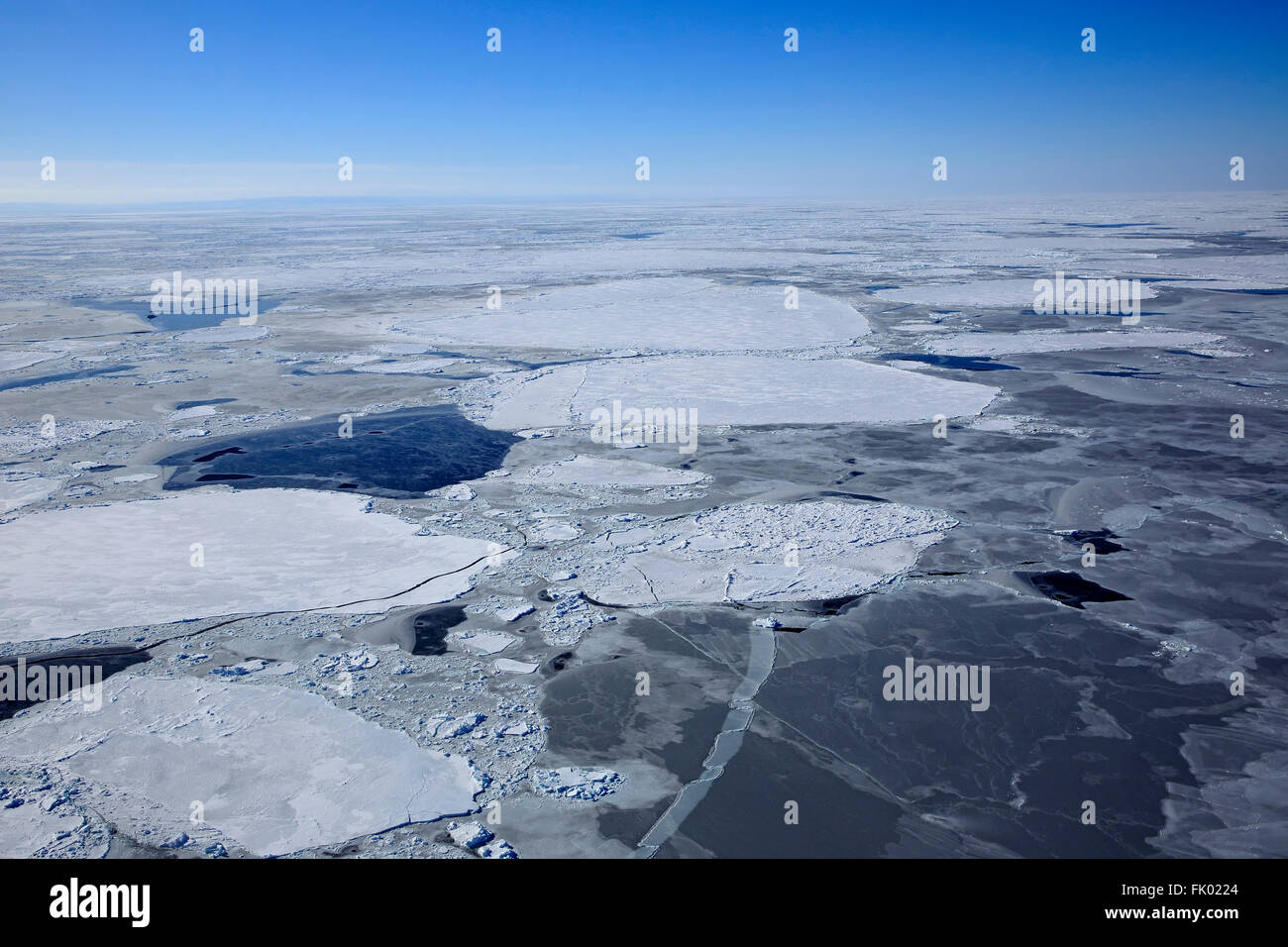 La banquise, en hiver, îles de la Madeleine, golfe du Saint-Laurent, Québec, Canada, Amérique du Nord Banque D'Images