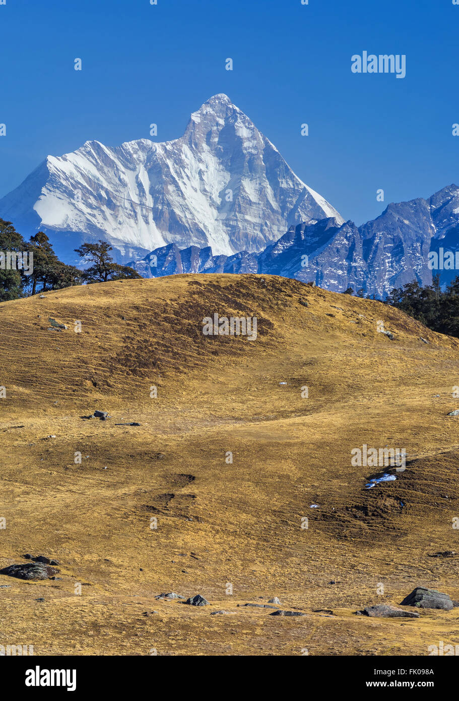 Prairie haute altitude ' Gorson Bughyal' et Nanda Devi Pic à Auli, Uttrakhnad, Inde Banque D'Images Prairie haute altitude ' Gorson Bughyal' et Nanda Devi Pic à Auli, Uttrakhnad, Inde Banque D'Images