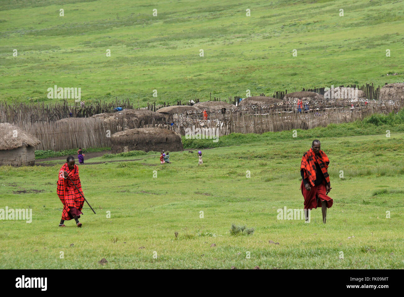La tribu masaï (Masai) à l'extérieur de leur village, la Ngorongoro Conservation Area, Tanzania Banque D'Images