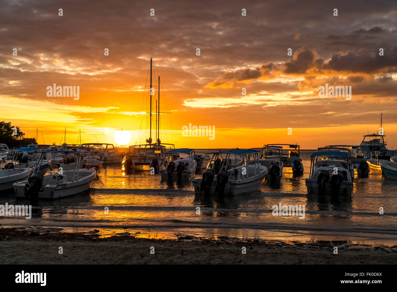 Des bateaux d'excursion sur la plage au coucher du soleil, Bayahibe, la République dominicaine, Caraïbes, Amérique Latine, Banque D'Images